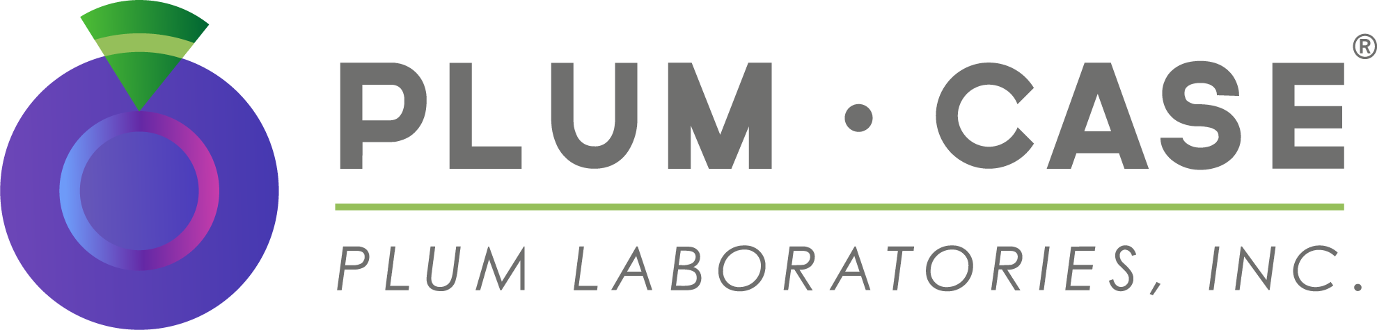 Plum-Logo-Horizontal-Gray-Text